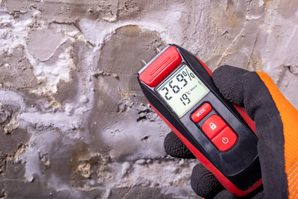 South Lake Tahoe, CA Mold Removal Company