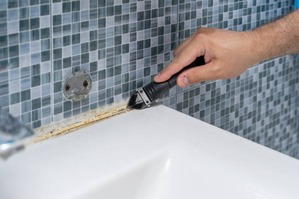 Best Certified Mold Removal  in South Lake Tahoe, CA
