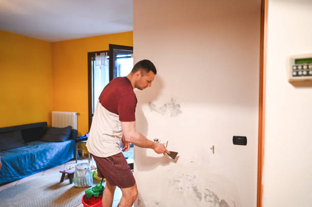 Certified Mold Removal in South Lake Tahoe, CA